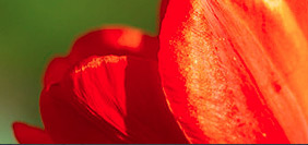 安卓ddos攻击工具