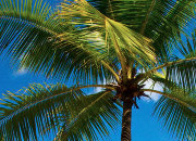 界面清爽简洁的DDOS测试